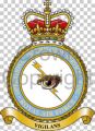 Operational Information Services Wing, Royal Air Force.jpg