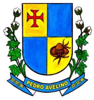Brasão de Pedro Avelino/Arms (crest) of Pedro Avelino