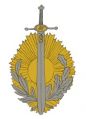 6th Riga Infantry Regiment, Latvian Army.jpg