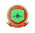 1st Squadron, 13th Wing, Swedish Air Force.jpg