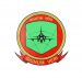 1st Squadron, 13th Wing, Swedish Air Force.jpg