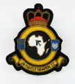 22nd Wing, Swedish Air Force.jpg