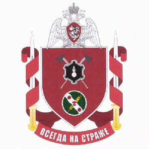 Military Unit 5588, National Guard of the Russian Federation.gif