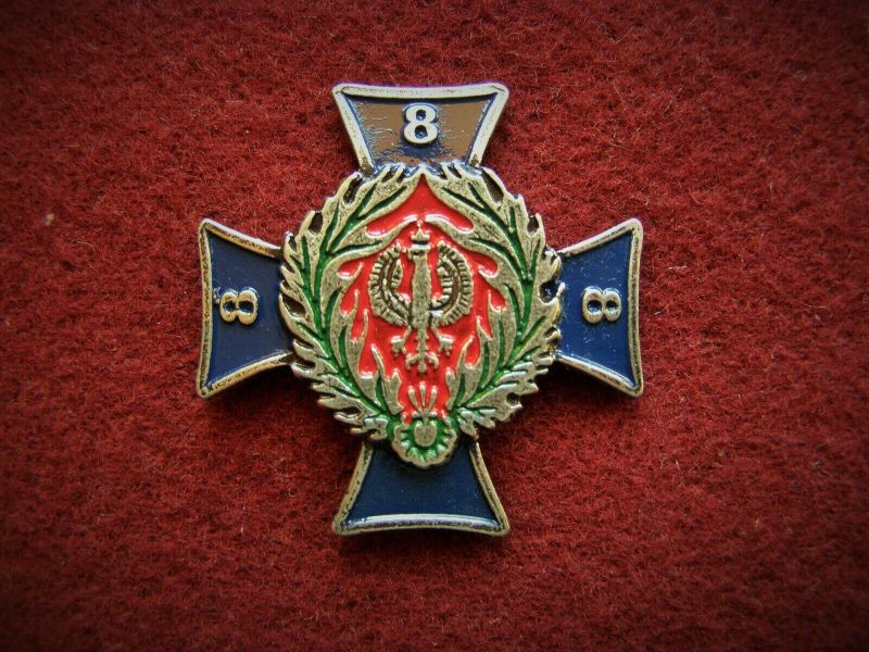 File:8th Rifle Battalion, Polish Army.jpg