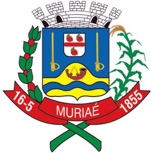 Brasão de Muriaé/Arms (crest) of Muriaé