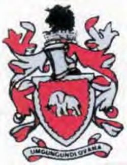 Arms (crest) of Greytown