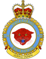 No 438 Squadron, Royal Canadian Air Force.png