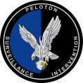 Surveillance and Intervention Platoon of the Gendarmerie, France.png