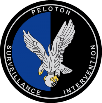 Blason de Surveillance and Intervention Platoon of the Gendarmerie, France/Arms (crest) of Surveillance and Intervention Platoon of the Gendarmerie, France
