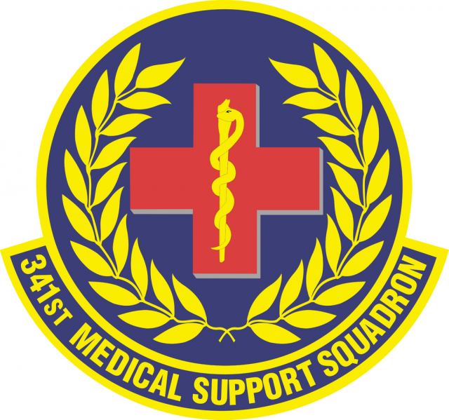 File:341th Medical Support Squadron, US Air Force.png