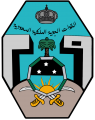 29 Squadron, Royal Saudi Air Forceold.png