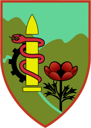 91st Logistics Battalion, Israeli Ground Forces.png