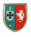 Field Replacement Battalion 815, German Army.png