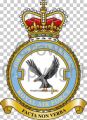 No 2 Force Protection Wing, Royal Air Force.jpg