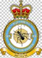 No 5001 Squadron, Royal Air Force.jpg
