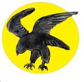 3rd Squadron, 8th Wing, Swedish Air Force.jpg