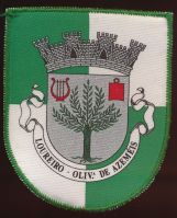 Brasão de Loureiro/Arms (crest) of Loureiro