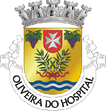 Brasão de Oliveira do Hospital (city)/Arms (crest) of Oliveira do Hospital (city)