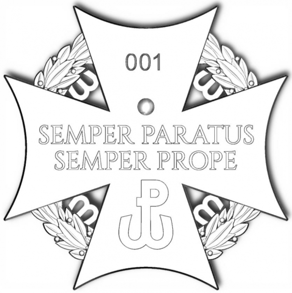 File:Territorial Defence Staff, Polanddui.png