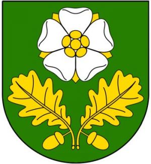 Arms of Dąbrowa Zielona