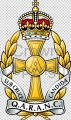 Queen Alexandra's Royal Army Nursing Corps, British Army3.jpg