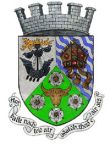 Arms of Lismore