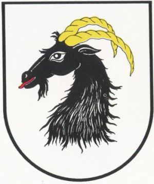 Arms (crest) of Głuchołazy