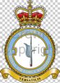 No 37 Squadron, Royal Air Force Regiment.jpg