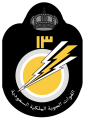 13 Squadron, Royal Saudi Air Forceold.png