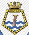 HMS Bacchus, Royal Navy.jpg