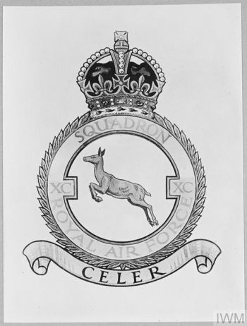 Coat of arms (crest) of the No 90 Squadron, Royal Air Force