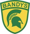 Bandys High School Junior Reserve Officer Training Corps, US Army.jpg