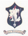 1110th Air Support Group, US Air Force.png