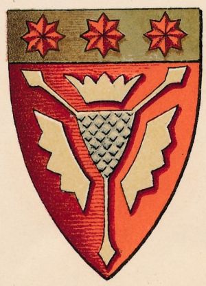 Wappen von Hessisch Oldendorf