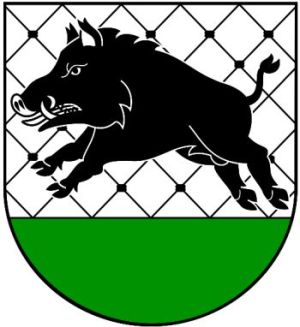 Coat of arms (crest) of Debrzno