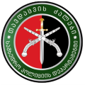 Military Police Department of the Defence Forces of Georgia.png
