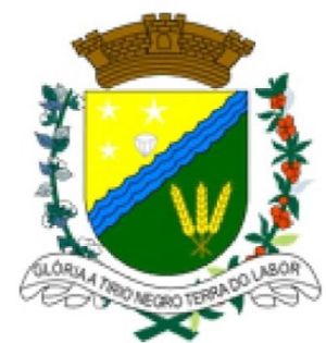 Brasão de Rio Negro (Mato Grosso do Sul)/Arms (crest) of Rio Negro (Mato Grosso do Sul)