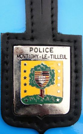 Wapen van/Blason de Montigny-le-Tilleul