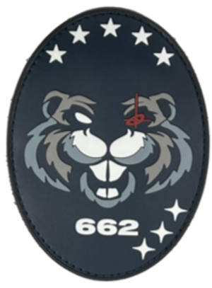 662nd Cyber Squadron, US Space Force.png