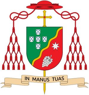 Arms (crest) of Américo Manuel Alves Aguiar