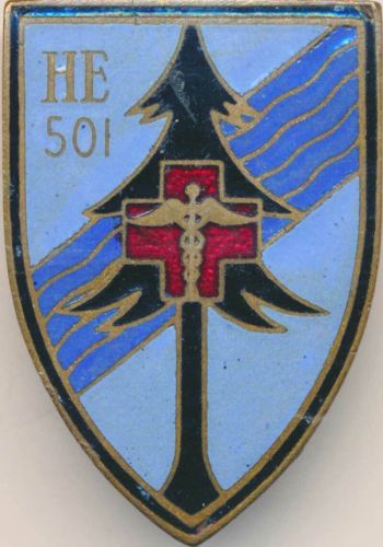 Blason de 501st Evacuation Hospital, French Army/Arms (crest) of 501st Evacuation Hospital, French Army