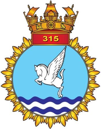Coat of arms (crest) of the INAS 315 Winged Stallions, Indian Navy
