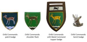 Oribi Commando, South African Army.jpg