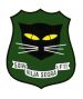 5th Squadron, 11th Wing, Swedish Air Force.jpg