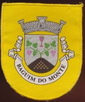 Brasão de Baguim do Monte/Arms (crest) of Baguim do Monte