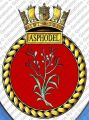HMS Asphodel, Royal Navy.jpg
