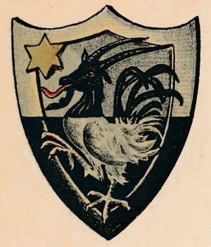 Wappen von Ziegenhain/Coat of arms (crest) of Ziegenhain