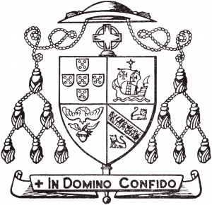 Arms of Daniel Gomes Junqueira