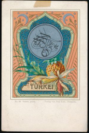 Turkey.kohl.jpg