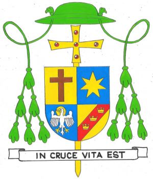 Arms (crest) of Raúl Antonio Chau Quispe